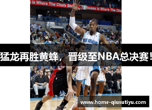 猛龙再胜黄蜂，晋级至NBA总决赛！