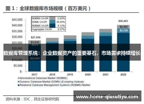 数据库管理系统：企业数据资产的重要基石，市场需求持续增长